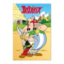 Asterix og Obelix Plakat - 91,5 x 61 cm