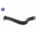 VAICO V58 0311 Radiatorslange