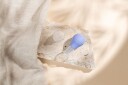 Lansinoh Nipple Everter LatchAssist