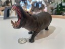 Collecta Hippopotamus