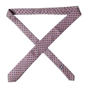 Dolce & Gabbana Herre Accessories Flerfarget ONE SIZE,