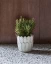 house doctor Planter Hdezra Off White   OFF WHITE   H:15 cm.XL:14 cm