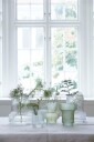 Wikholm Form Groove Tulipanvase Transparent