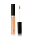 Evagarden Impeccable Concealer Impeccable Concealer 322