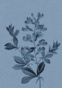Elegant Blue Botanical Plakat / 50x70