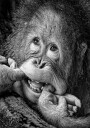 Big Smile.....please Plakat Plakat / 30x40cm