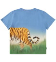 Molo T skjorte Ruby Tiger On Blue 7 år (122) T skjorte Blå