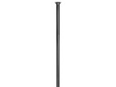 DT Swiss Revolite Straigh Pull eiker sort