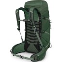 Osprey Talon 33 Green Canopy/Pine Leaf OS