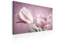 Tavle Romantic Tulips 60X40 Artgeist sp. z o. o.