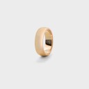 IX Studios Class Ring 22 kt. Gullbelagt sølv DMN0295GD52 - Unisex - 925 sterling silver