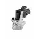 EGR Ventil WAHLER 710979D