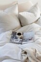Borås Cotton   Putevar Cille   Beige