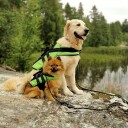 Rukka Flytevest Redningsvest Hund - XS - Grønn