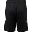 Vejle Boldklub Treningsshorts Svart 3XL