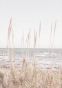 Pictufy Studio Iii Beach_Vass No.1 Plakat Plakat Plakat / 21x30cm