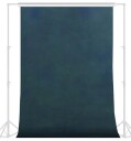 Savage Canvas Bakgrunn 2,44x3,66m Alpine