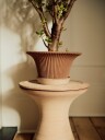 Daisy Krukke med Tallerken Rosa Ø30 cm