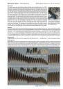 Atlas of Feathers for Western Palearctic Birds   Passerines   Concise Edition