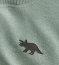 Name It Collegegenser   NmmVallen   Green Miljø/Dino   Name It   6 år 116   Collegegenser Armygrønn Grønn