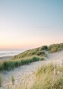 Dutch Dunes Plakat / 70x100