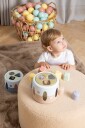 Dantoy FT Shape Sorter 4871