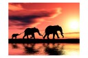 Fototapet Elephants Family 250x193 - Artgeist sp. z o. o.