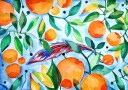 Orange Blue Plakat Plakat / 40x50cm