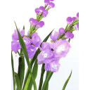 Europalms Arum Set, 3 Branches With Leds Pink 85cm