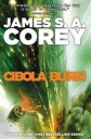 Corey James S. A. Cibola Burn