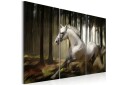 Bilde A white horse in the middle of the trees 90x60 Artgeist sp. z o. o.