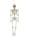 Hengende Skjelett i Realistisk Størrelse 153 cm Halloween 97852