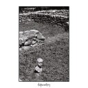 Tèlma  Ανθρωποβόρος / ManEater  CD
