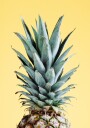 Tropical Pineapple Yellow Plakat / 50x70