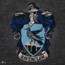 Harry Potter - ​Ravenclaw - Grey Knitted Sweater - X-Small