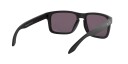 Oakley Holbrook OO9102-E8