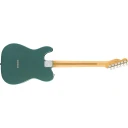 Fender Am Pro Clsc Tele SSS RW FSGM