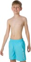 Speedo Challenge 15 Watershorts Badeshorts Aqua S