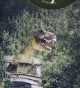 Minymo Genser Forest Natt m. Dinosaur 2 år 92 Genser Grønn