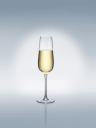 Villeroy & Boch Rose Garden champagneglass 4-pakning 29 cl Klar ?