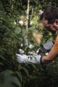 HestraJob Garden Rose Arbeidshanske 9