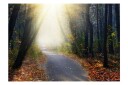 Fototapet Road Through The Forest 100x70 - Artgeist sp. z o. o.