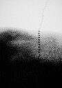 Footsteps in the snow Plakat Plakat / 21x30cm