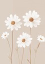 Daisy Serenity Plakat / 40x50