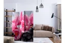 Romdeler -  Orchid flowers with zen stone 135x172 - Artgeist sp. z o. o.