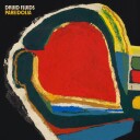 Druid Fluids Pareidolia Vinyl