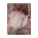 D'aniello Dame Accessories Flerfarget ONE SIZE,