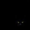 Black Cat"s Gaze Plakat / 30x30