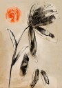 Shadowed Bloom Plakat / 50x70cm