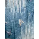 Pierre Louis Mascia Dame Accessories Flerfarget ONE SIZE,